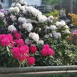 Guest house Szarotka