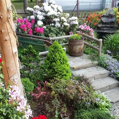 Szarotka Guest house *