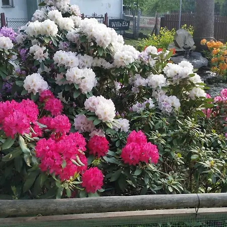 Guest house Szarotka