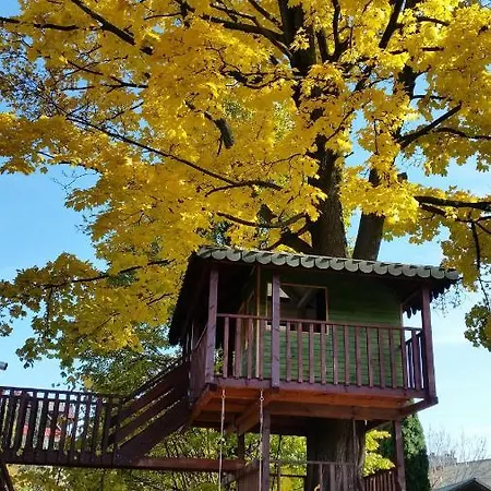 Guest house Szarotka *