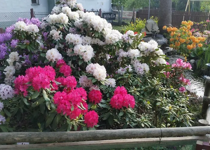 Casa de hóspedes Szarotka